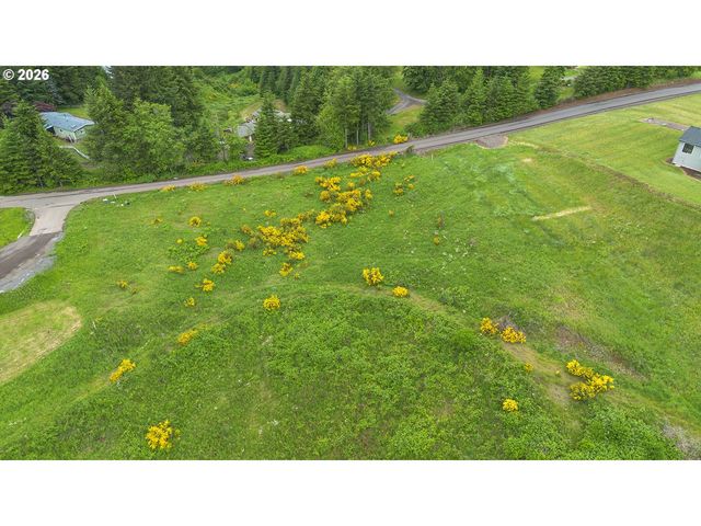 240 Hood View Dr, Kalama, WA 98625