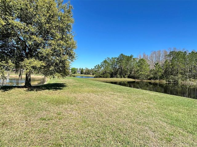 8120 TURKEY HILL COURT, Tampa, FL 33647