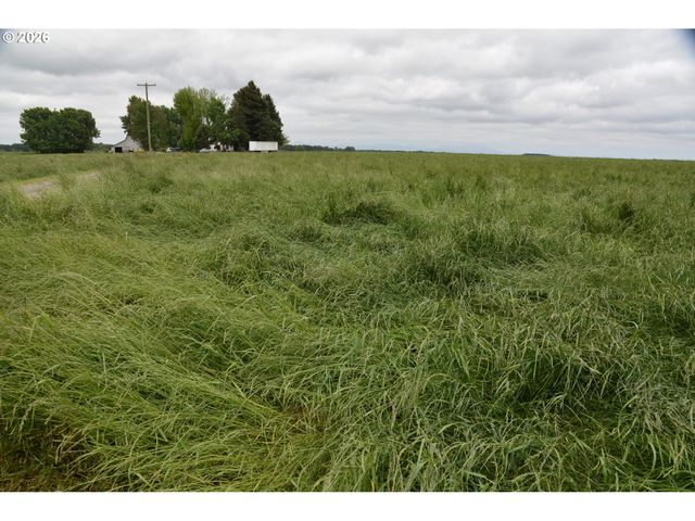 25258 ROWLAND Rd, Harrisburg, OR 97446