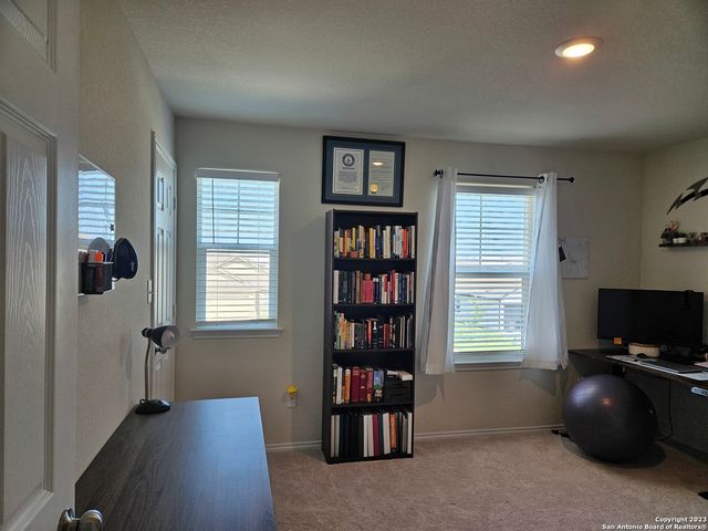 535 Wild Olive Way, San Antonio, TX 78219