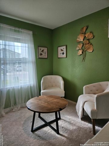 535 Wild Olive Way, San Antonio, TX 78219