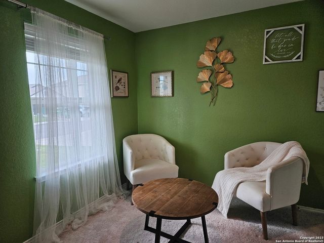 535 Wild Olive Way, San Antonio, TX 78219