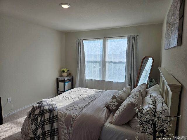 535 Wild Olive Way, San Antonio, TX 78219