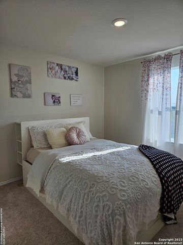 535 Wild Olive Way, San Antonio, TX 78219