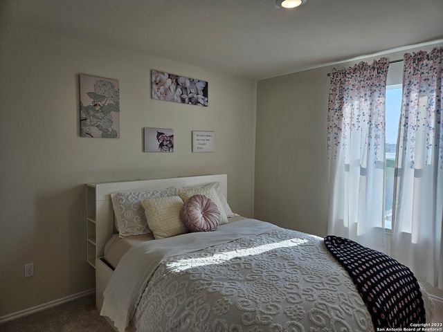 535 Wild Olive Way, San Antonio, TX 78219