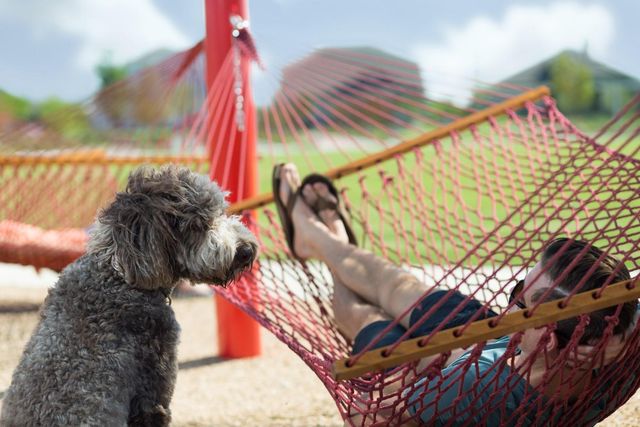 1010B Brickell LOOP, Austin, TX 78744