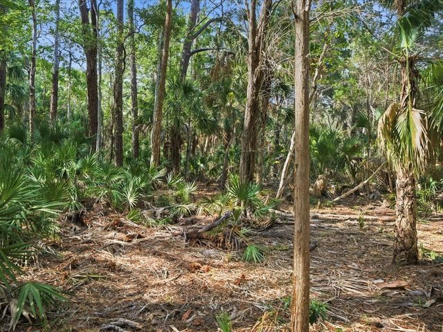 0 OSOWAW, Spring Hill, FL 34607
