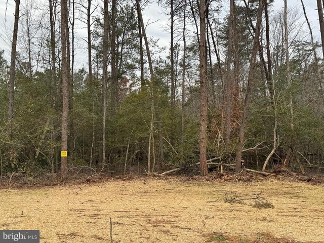 3 SEAGRASS CT, King George, VA 22485