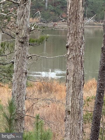 3 SEAGRASS CT, King George, VA 22485