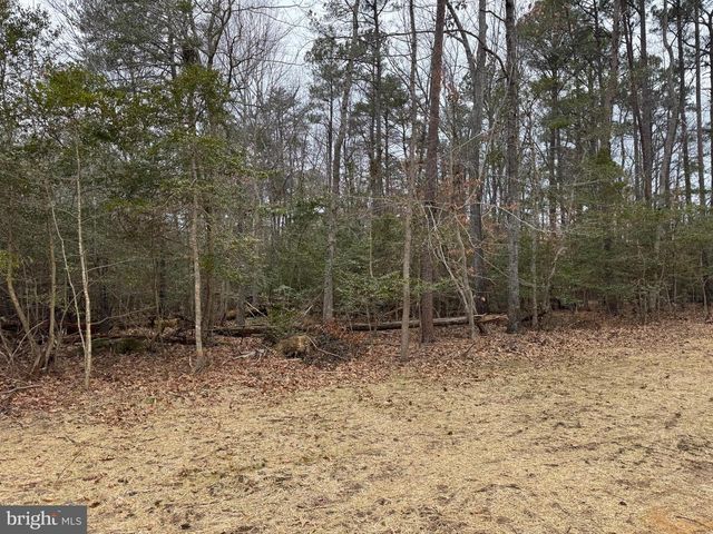 3 SEAGRASS CT, King George, VA 22485