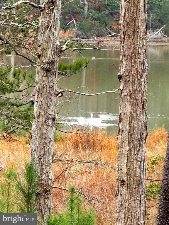 3 SEAGRASS CT, King George, VA 22485