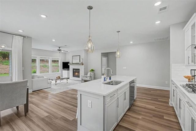 620 Shadow Moss Avenue, Canton, GA 30115