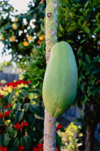 3817 Athol, Baldwin Park, CA 91706