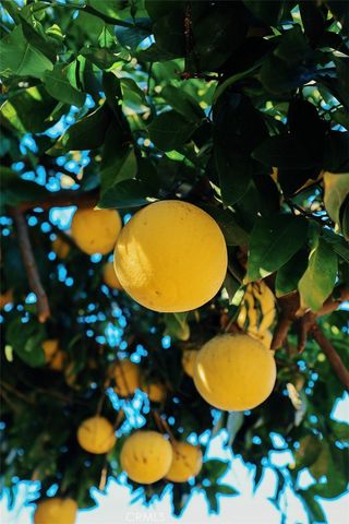 3817 Athol, Baldwin Park, CA 91706