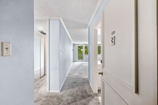 3883 Turtle Creek Boulevard 408, Dallas, TX 75219