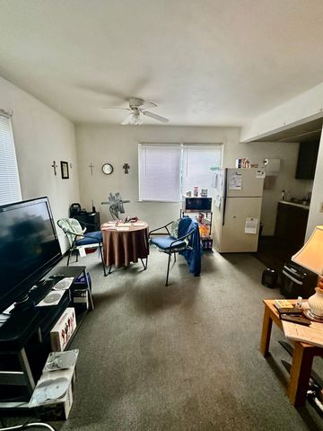 217 E 3rd Street, Byron, IL 61010