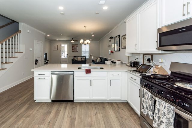 513 Green Fern Drive, Summerville, SC 29483