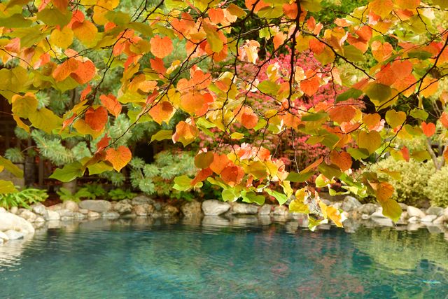 99 Granite Street, Ashland, OR 97520