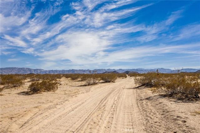 1300 Mt Shasta, Joshua Tree, CA 92252