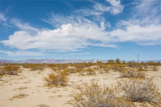 1300 Mt Shasta, Joshua Tree, CA 92252