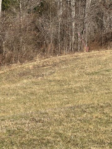 1817 Baldwin Road Tract 9A, Mckee, KY 40447