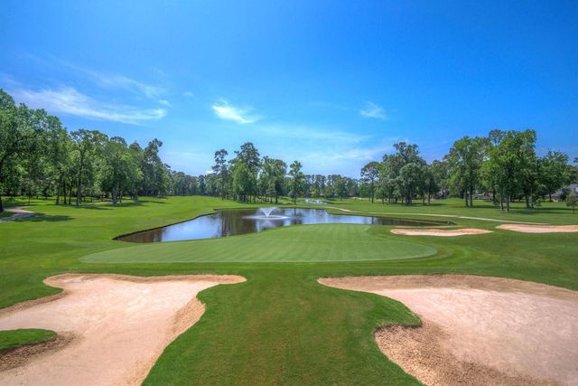 13607 Summer Hill Drive, Montgomery, TX 77356