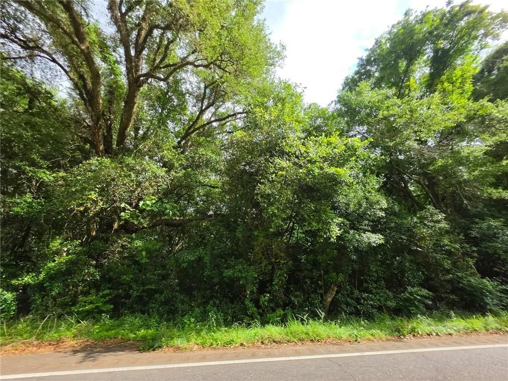 7203 Howells Ferry Road, Mobile, AL 36618 — photo 4