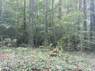 L37-41 N Tenth Street, Mebane, NC 27302