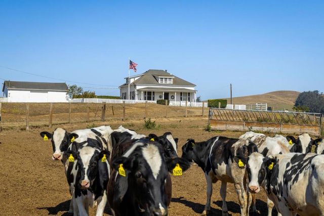 14550 Valley Ford Estero, Valley Ford, CA 94972