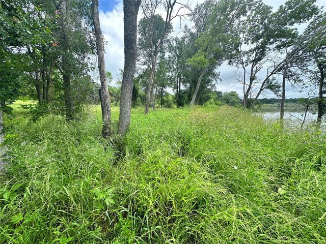 Lot 16 Opal Lane, Corsicana, TX 75109