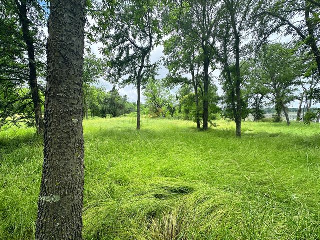 Lot 16 Opal Lane, Corsicana, TX 75109