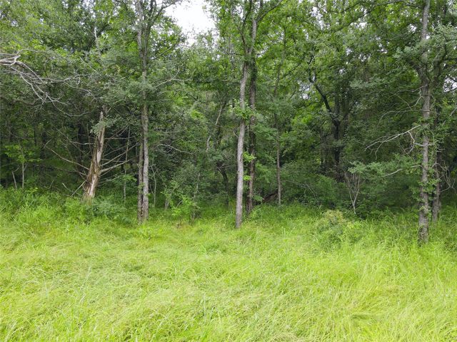Lot 16 Opal Lane, Corsicana, TX 75109