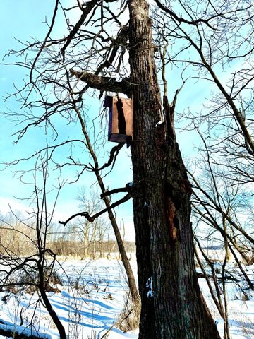 14343 Fairbanks Avenue, Lonsdale, MN 55046