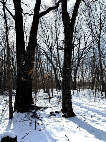 14343 Fairbanks Avenue, Lonsdale, MN 55046