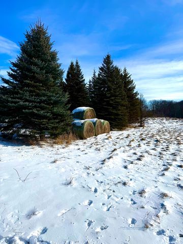 14343 Fairbanks Avenue, Lonsdale, MN 55046