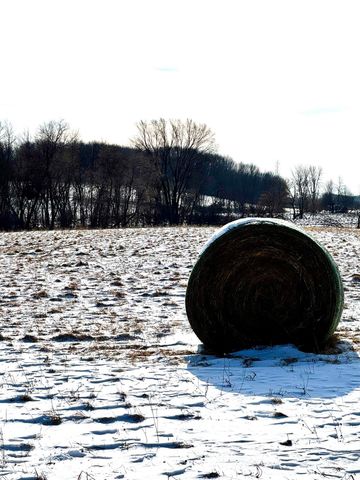 14343 Fairbanks Avenue, Lonsdale, MN 55046