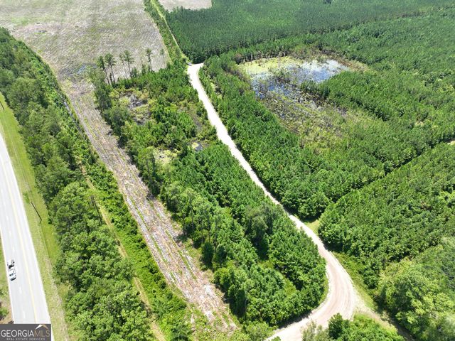 0 Chaney Road, White Oak, GA 31568