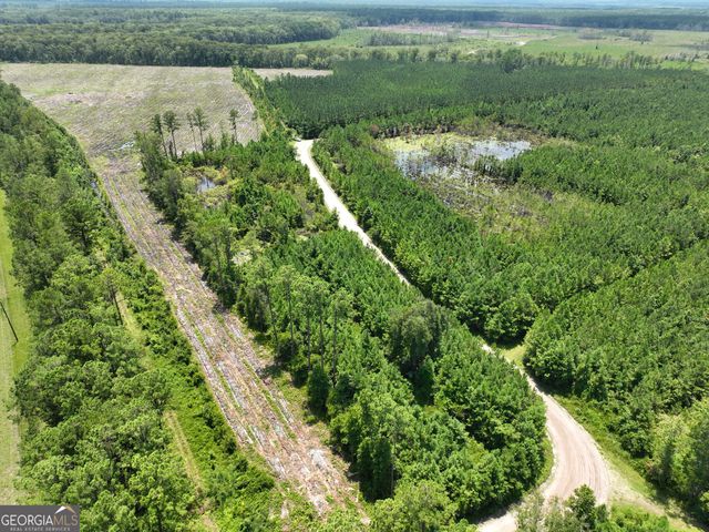 0 Chaney Road, White Oak, GA 31568