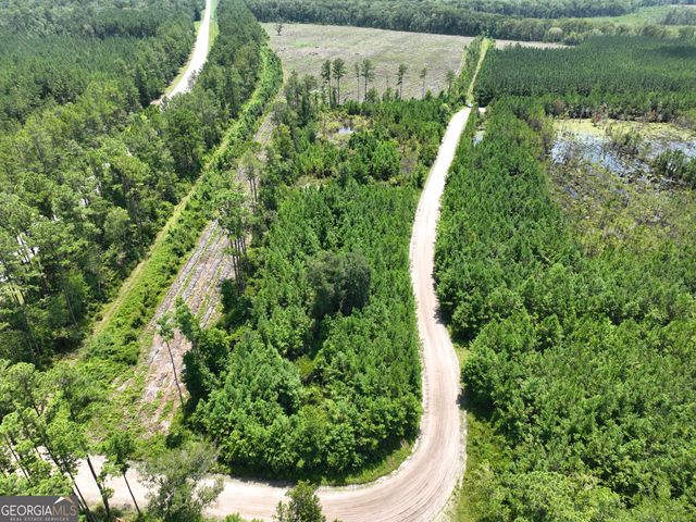 0 Chaney Road, White Oak, GA 31568