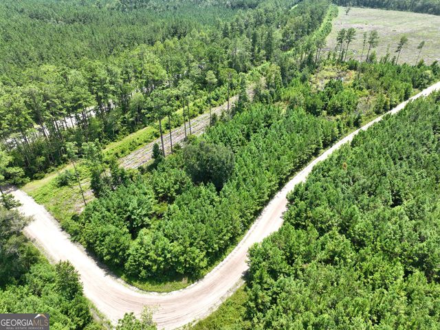 0 Chaney Road, White Oak, GA 31568