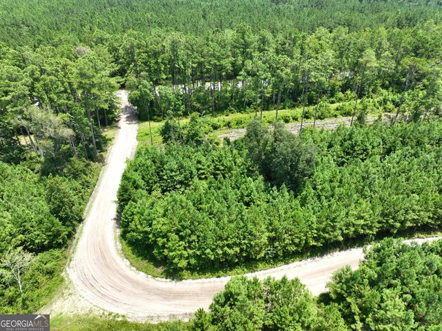 0 Chaney Road, White Oak, GA 31568