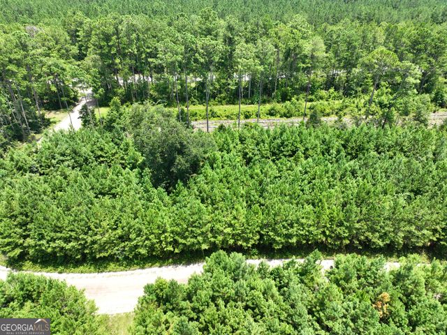 0 Chaney Road, White Oak, GA 31568