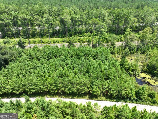 0 Chaney Road, White Oak, GA 31568