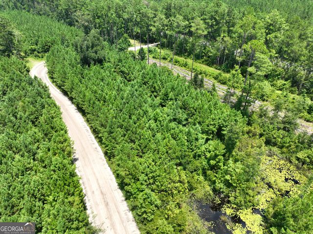 0 Chaney Road, White Oak, GA 31568