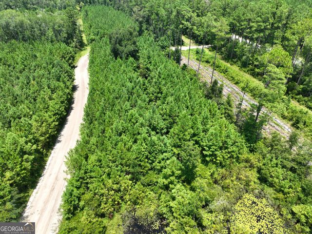 0 Chaney Road, White Oak, GA 31568