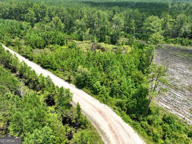 0 Chaney Road, White Oak, GA 31568