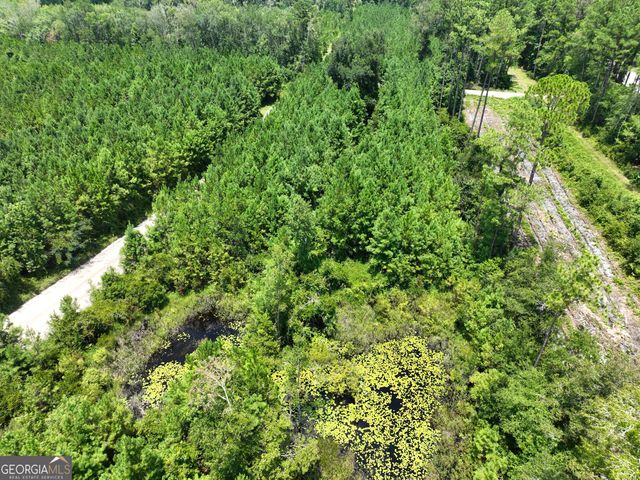 0 Chaney Road, White Oak, GA 31568