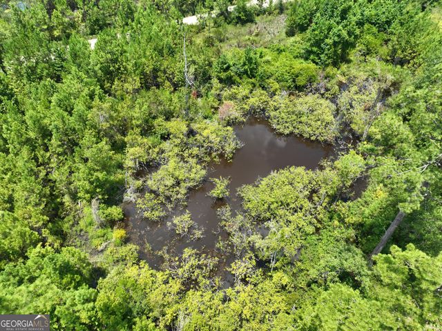 0 Chaney Road, White Oak, GA 31568