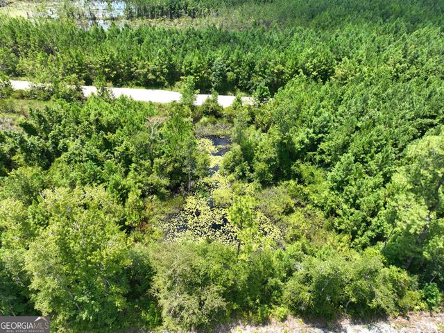 0 Chaney Road, White Oak, GA 31568