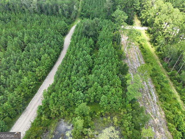 0 Chaney Road, White Oak, GA 31568